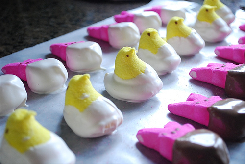 Chocolate Covered Peeps Treatment Kit