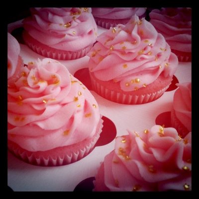 Pink Champagne Cupcake Treatment Kit  - 4 step